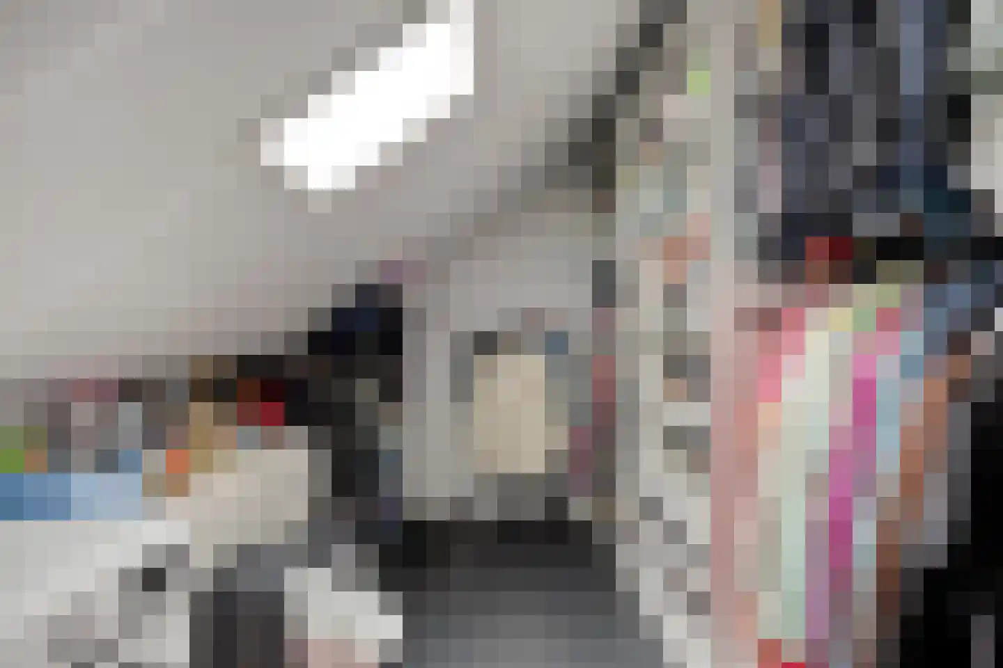Krooneend 13 Pijnacker thumbnail 27