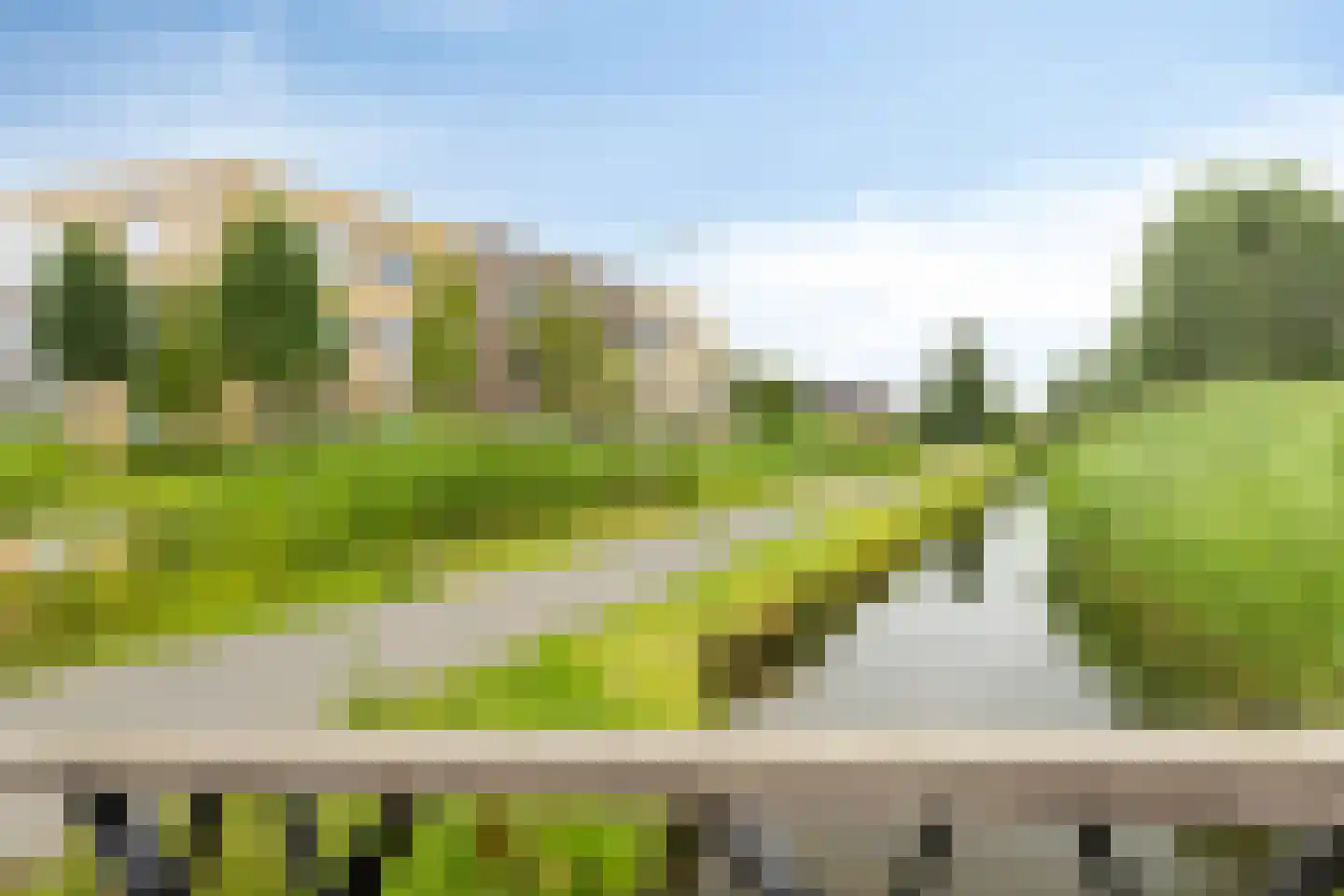 Krooneend 13 Pijnacker thumbnail 34