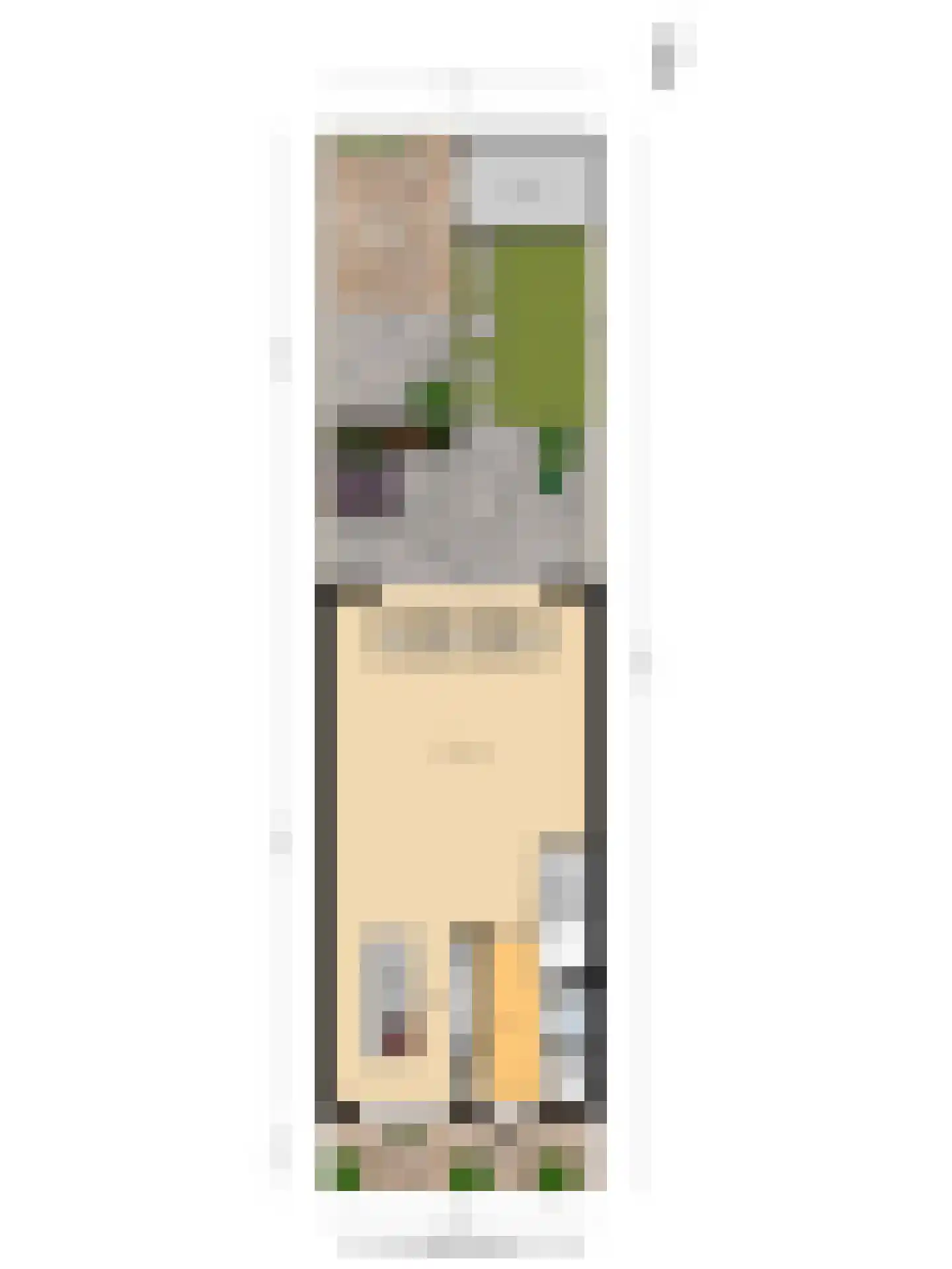 Krooneend 13 Pijnacker thumbnail 35
