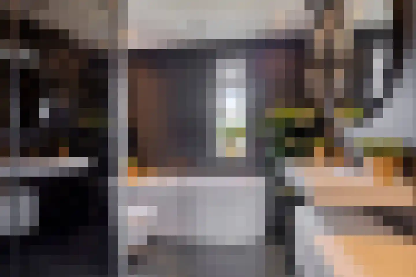 Krooneend 13 Pijnacker thumbnail 5