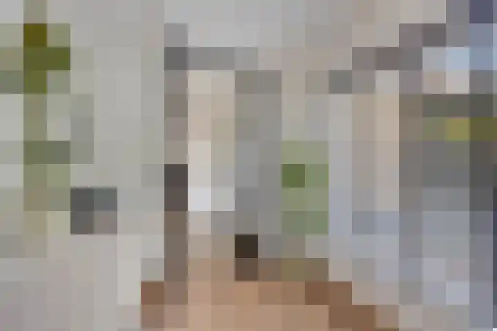 Krooneend 14 Leusden thumbnail 13