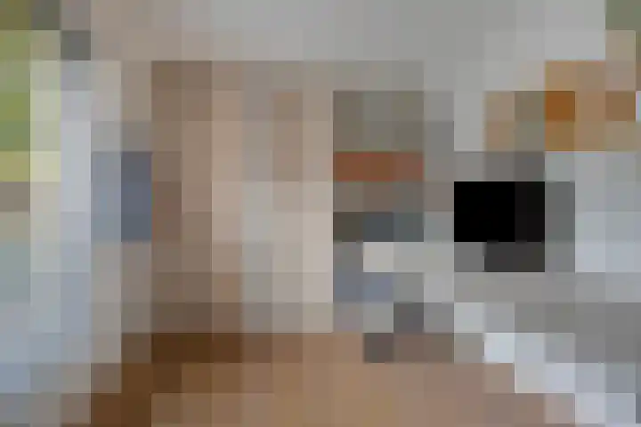 Krooneend 14 Leusden thumbnail 14