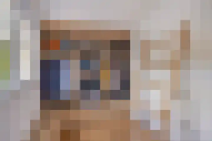 Krooneend 14 Leusden thumbnail 20