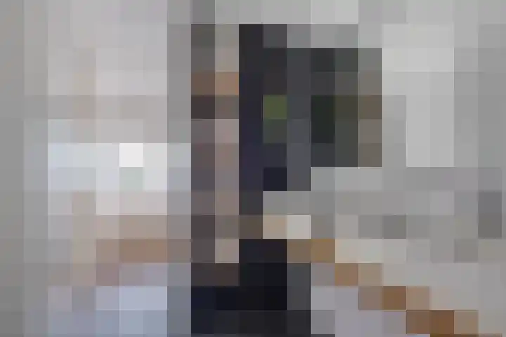 Krooneend 14 Leusden thumbnail 22