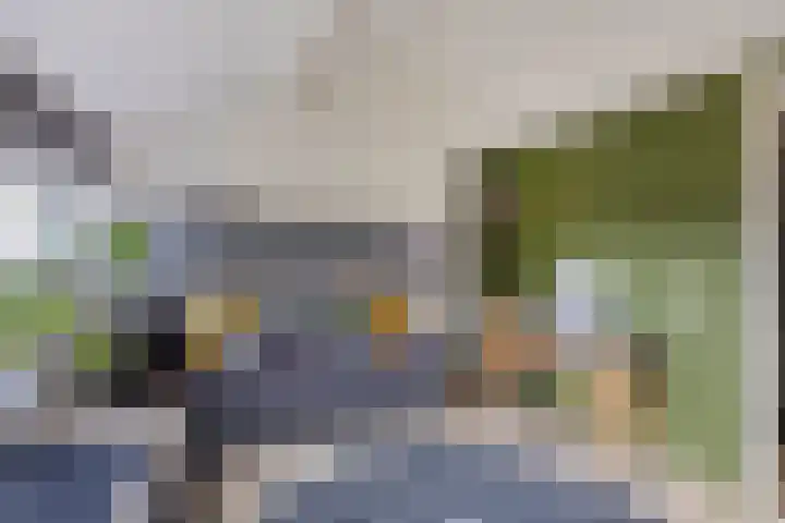 Krooneend 14 Leusden thumbnail 28