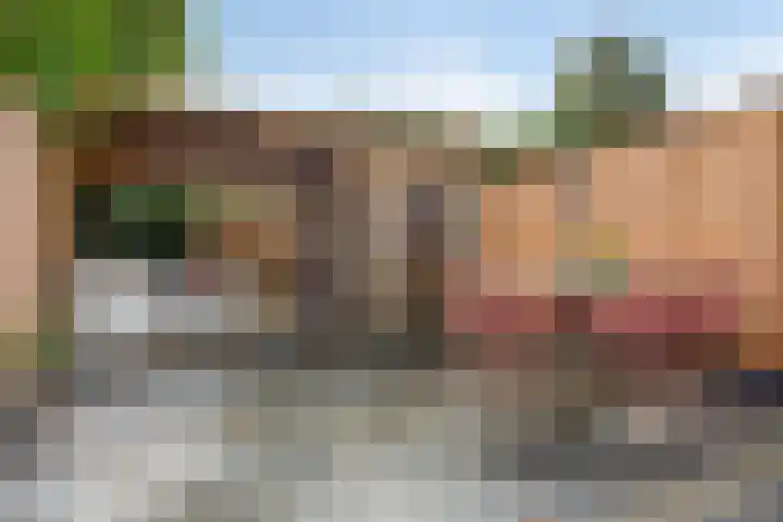 Krooneend 14 Leusden thumbnail 37