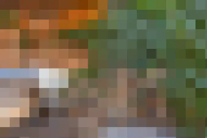 Krooneend 14 Leusden thumbnail 40