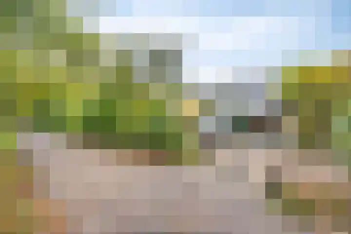 Krooneend 14 Leusden thumbnail 44