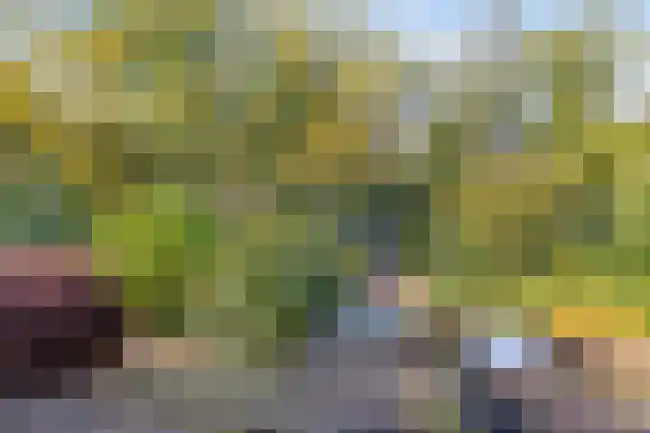 Krooneend 14 Leusden thumbnail 45