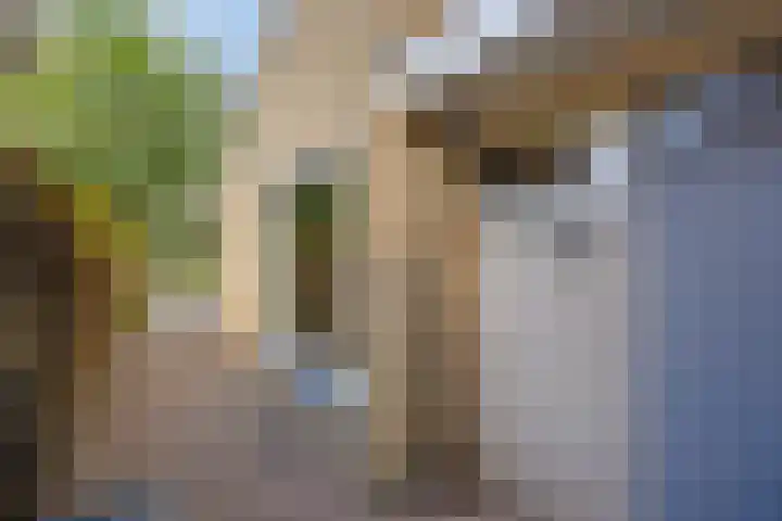 Krooneend 14 Leusden thumbnail 46