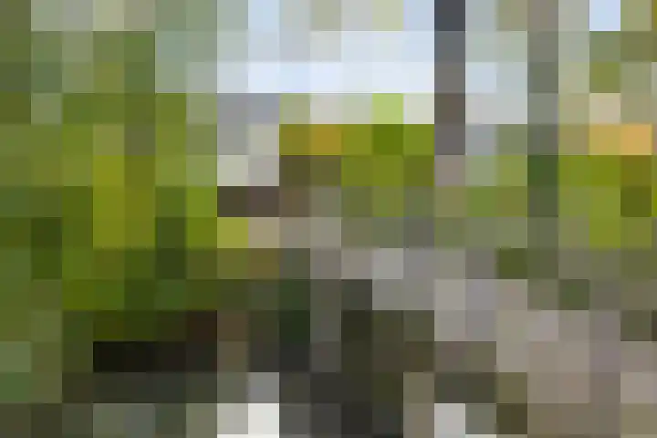 Krooneend 14 Leusden thumbnail 47