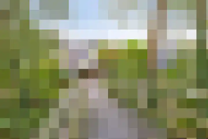 Krooneend 14 Leusden thumbnail 48