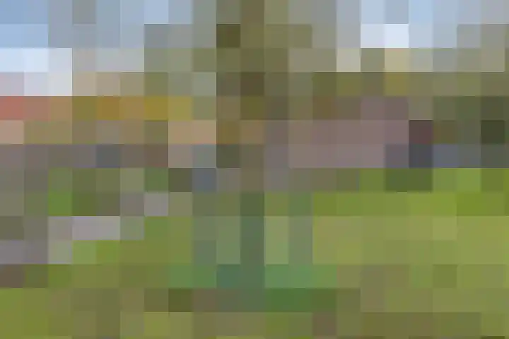 Krooneend 14 Leusden thumbnail 49