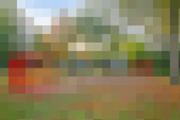 Krooneend 14 Leusden thumbnail 51
