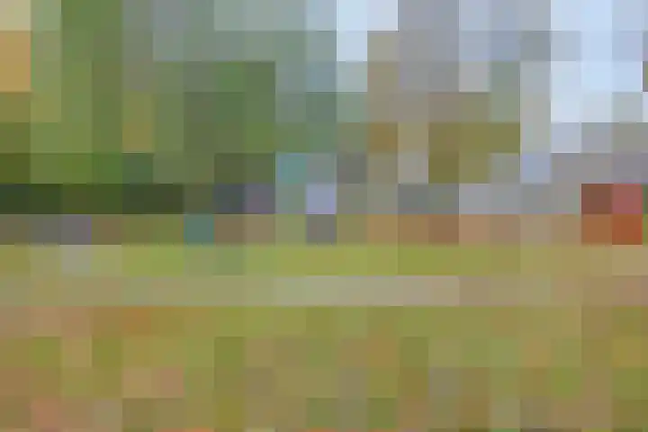 Krooneend 14 Leusden thumbnail 52