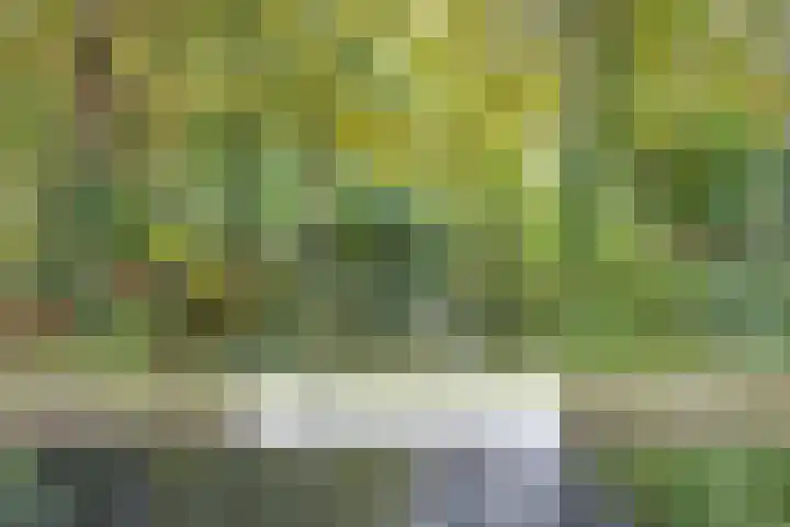 Krooneend 14 Leusden thumbnail 53