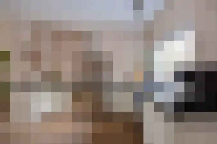 Krooneend 14 Leusden thumbnail 9