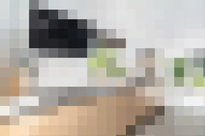 Krooneend 15 Leusden thumbnail 12
