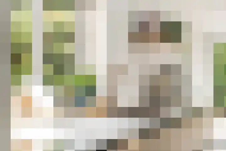 Krooneend 15 Leusden thumbnail 13