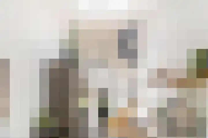 Krooneend 15 Leusden thumbnail 17