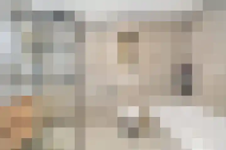 Krooneend 15 Leusden thumbnail 26
