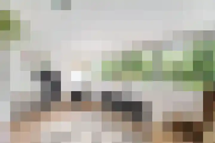 Krooneend 15 Leusden thumbnail 30