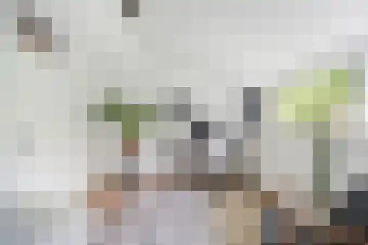 Krooneend 15 Leusden thumbnail 33