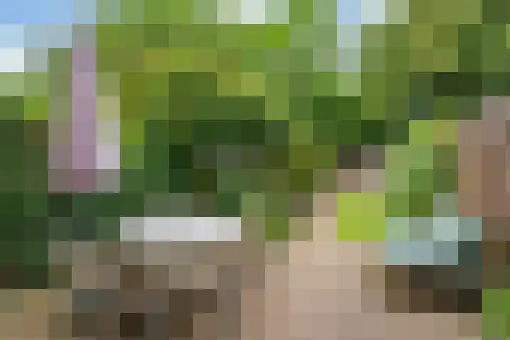 Krooneend 15 Leusden thumbnail 34