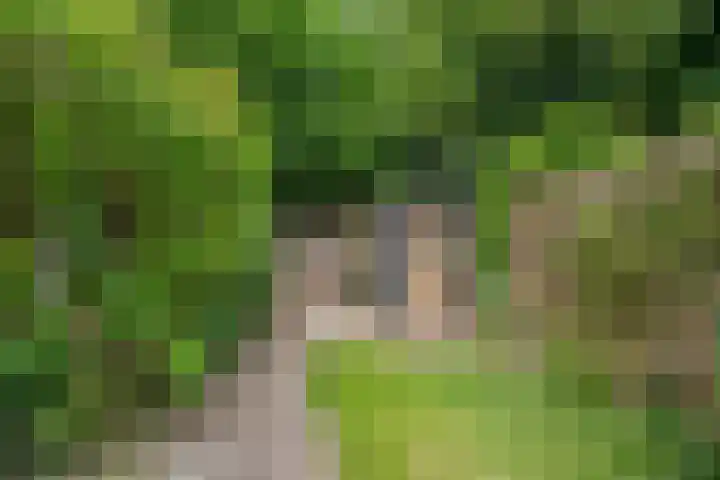 Krooneend 15 Leusden thumbnail 35