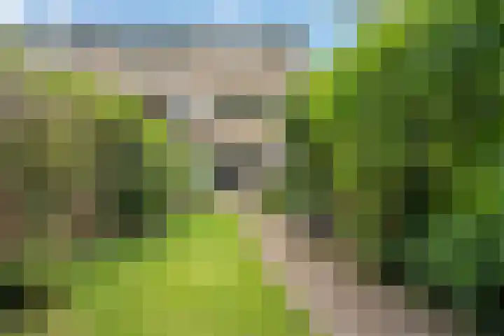 Krooneend 15 Leusden thumbnail 37
