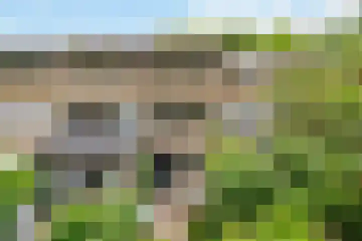 Krooneend 15 Leusden thumbnail 38