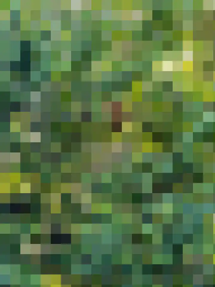 Krooneend 15 Leusden thumbnail 39