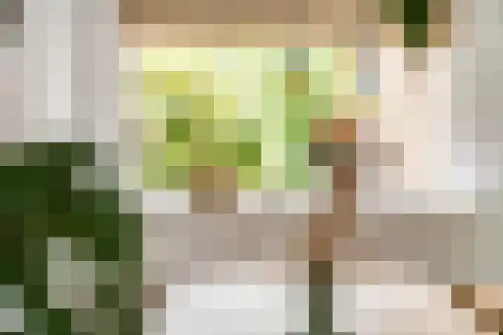 Krooneend 15 Leusden thumbnail 8