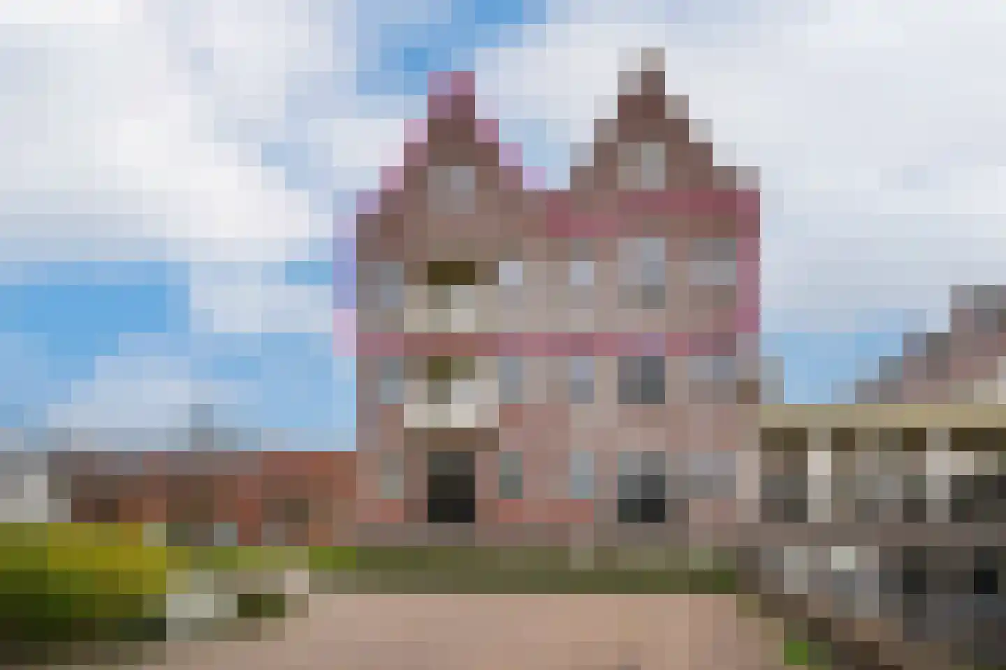 Krooneend 50 dans Culemborg