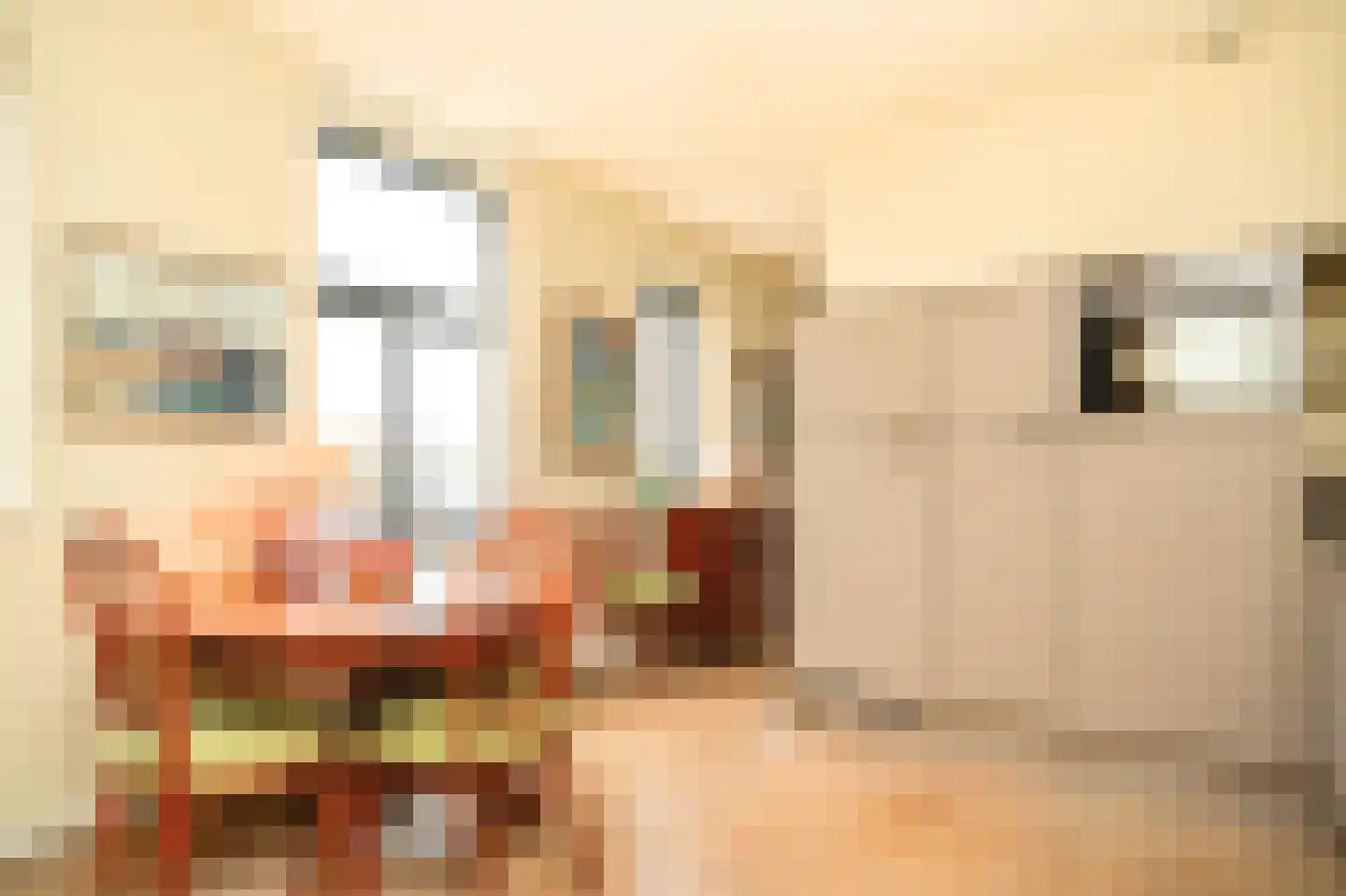 Krooneend 50 Culemborg thumbnail 10