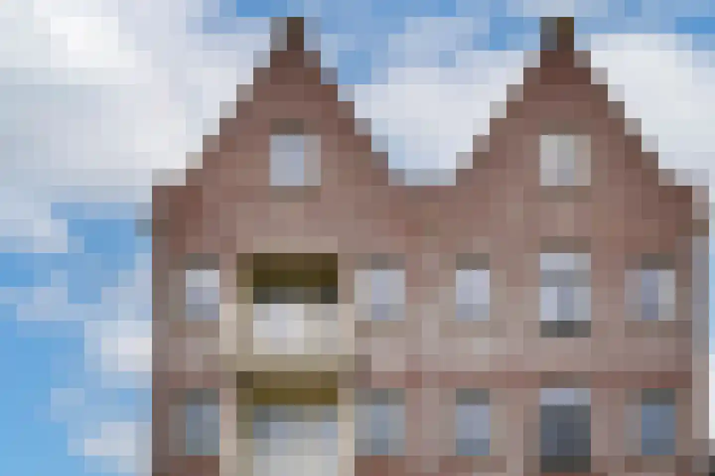 Krooneend 50 Culemborg thumbnail 41