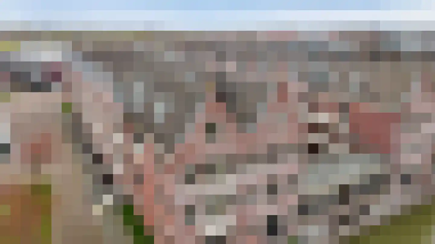 Krooneend 50 Culemborg thumbnail 43