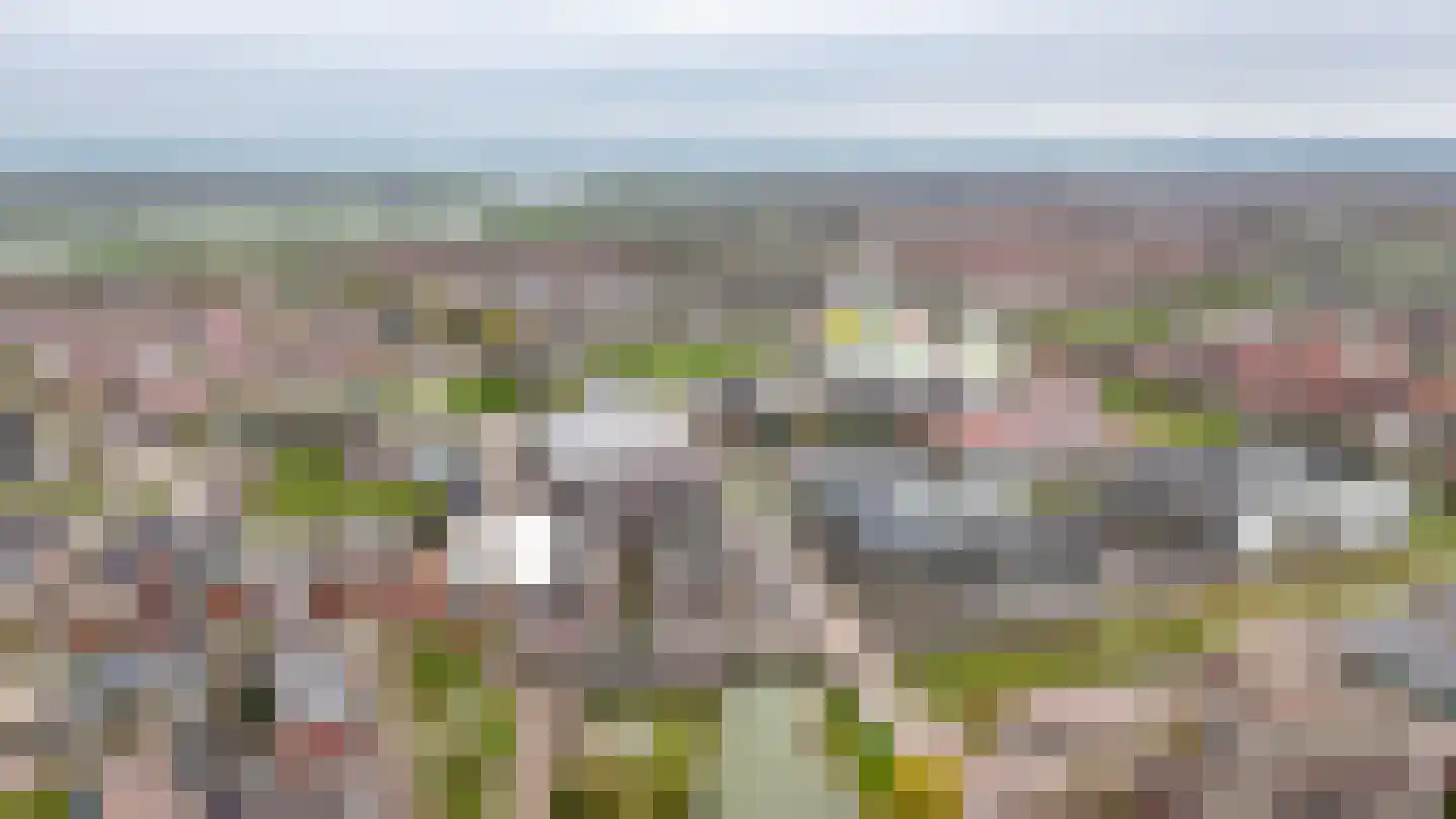 Krooneend 50 Culemborg thumbnail 46