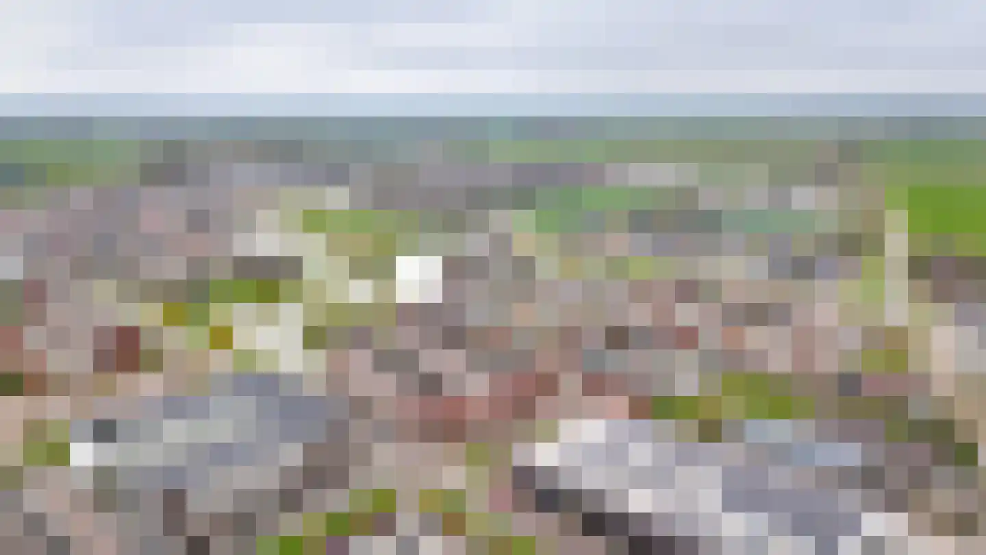 Krooneend 50 Culemborg thumbnail 47