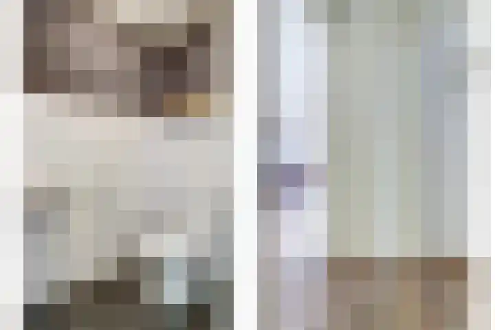 Krooneend 6 Rilland thumbnail 26