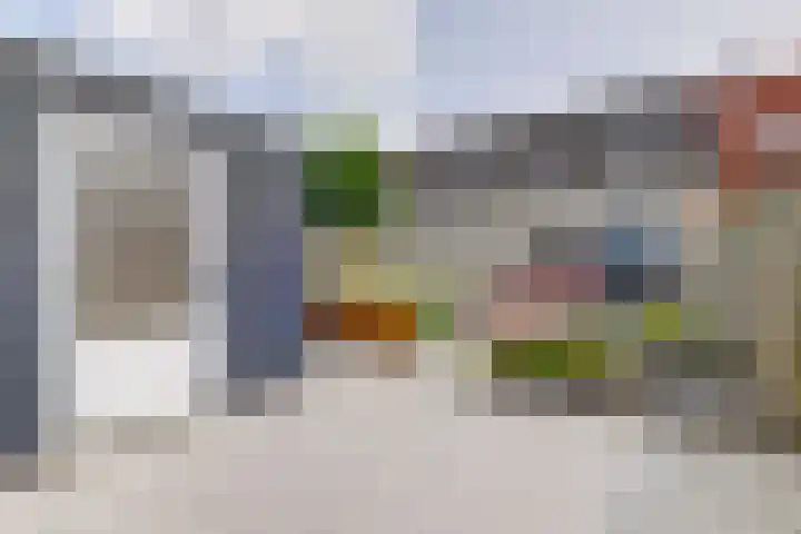 Krooneend 6 Rilland thumbnail 30