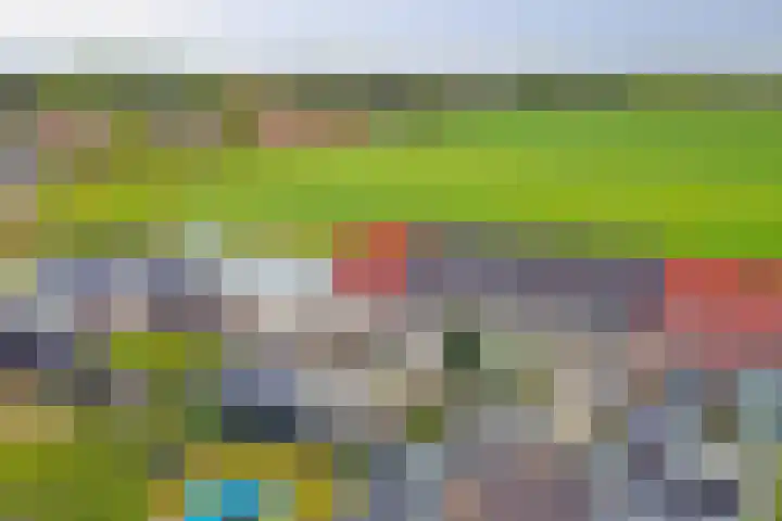 Krooneend 6 Rilland thumbnail 34
