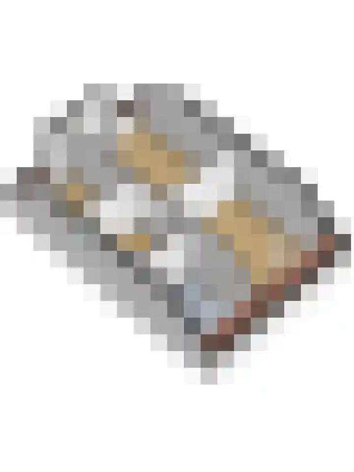 Krooneend 6 Rilland thumbnail 42