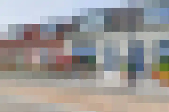 Krooneend 6 Rilland thumbnail 45