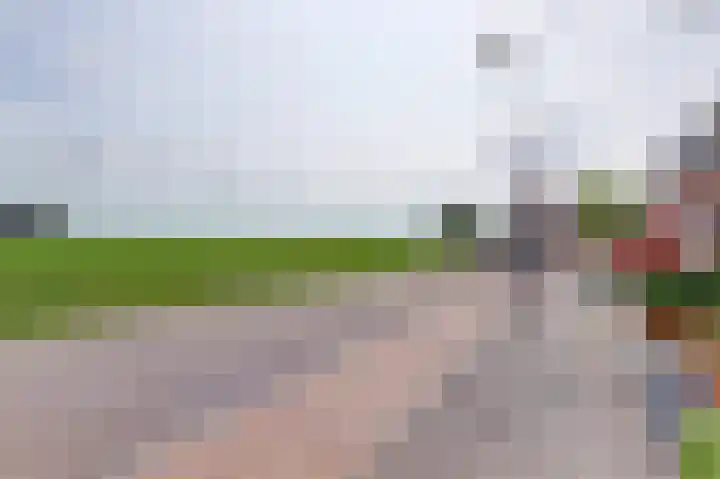 Krooneend 6 Rilland thumbnail 5