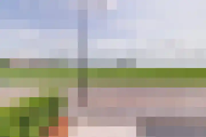 Krooneend 6 Rilland thumbnail 6