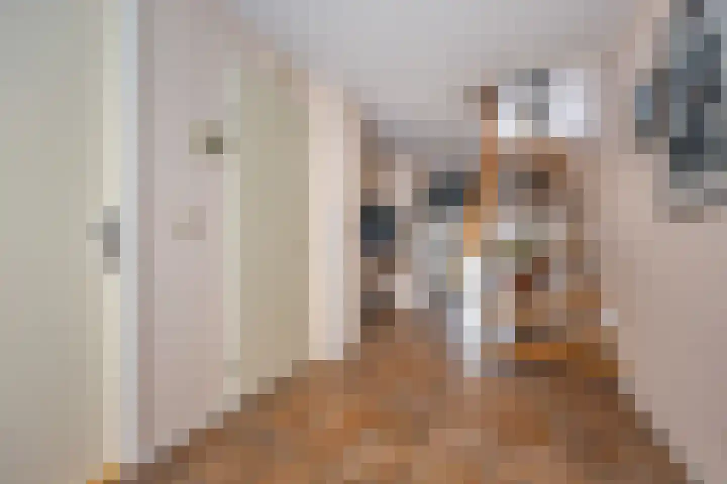 Krooneendstraat 22 Den Haag thumbnail 12