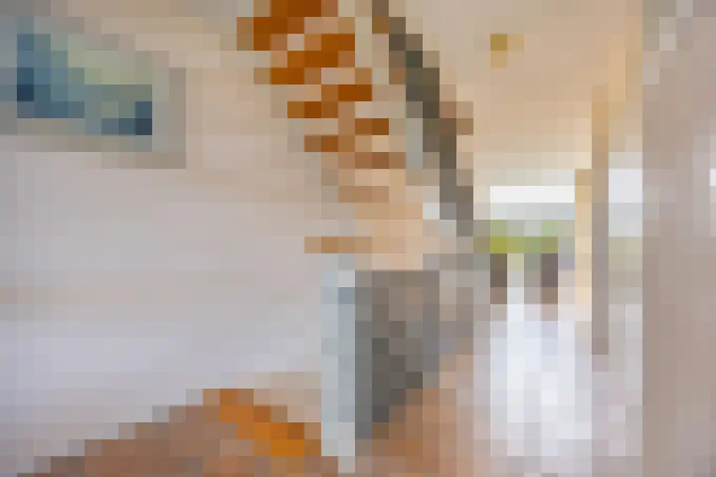 Krooneendstraat 22 Den Haag thumbnail 13