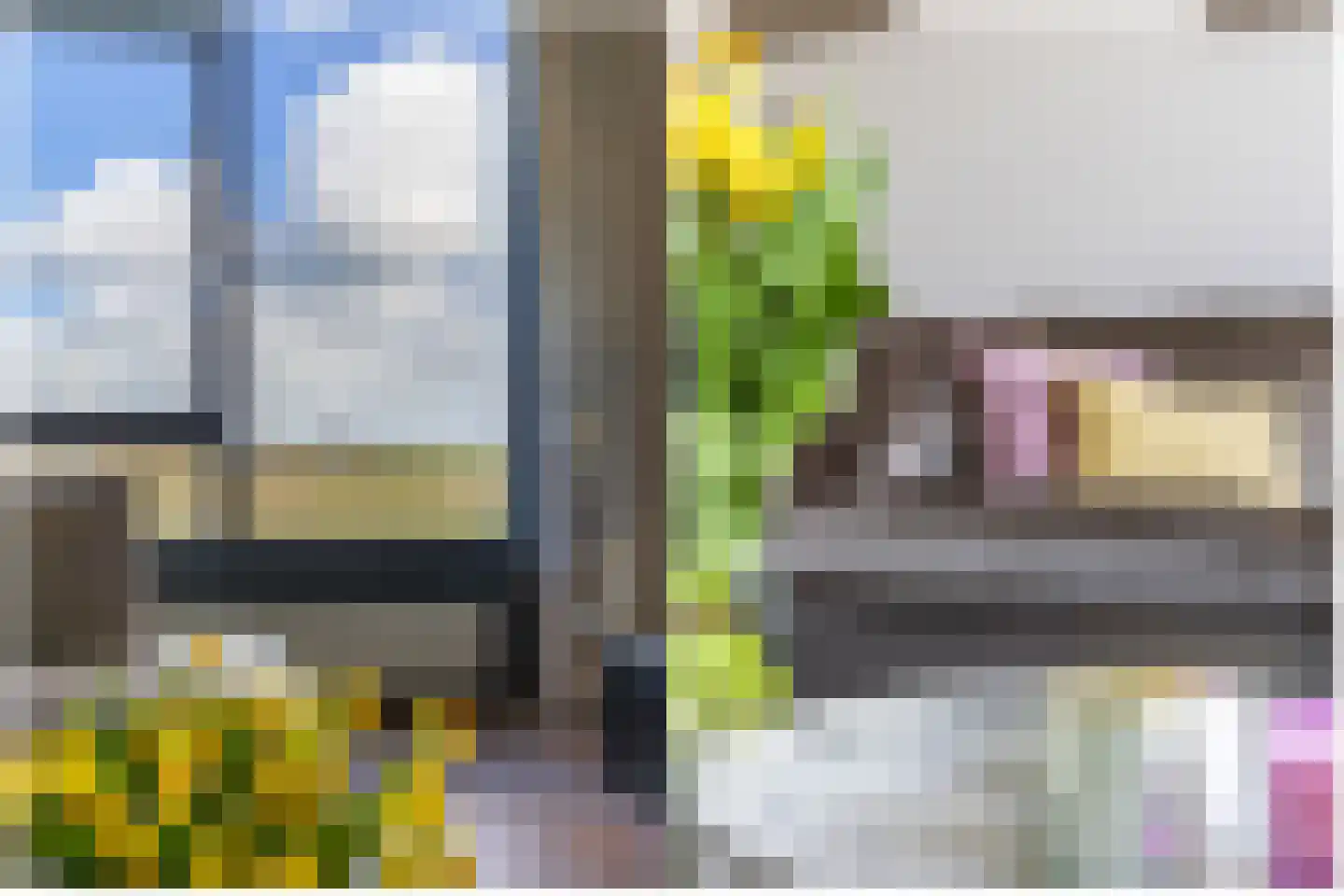 Krooneendstraat 22 Den Haag thumbnail 17