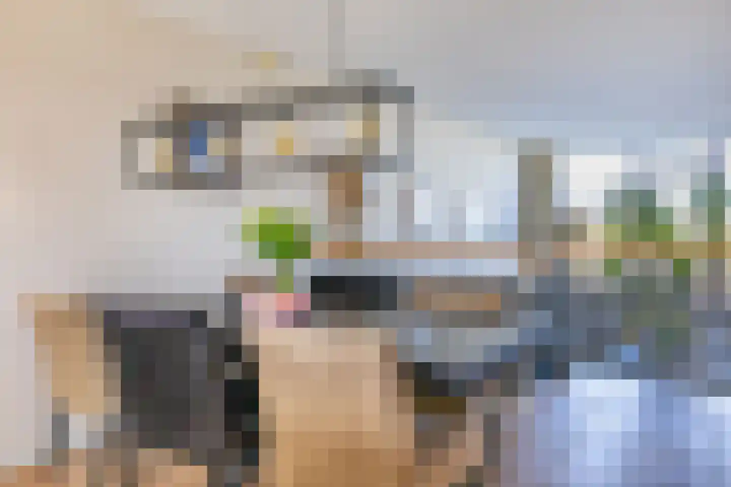 Krooneendstraat 22 Den Haag thumbnail 36